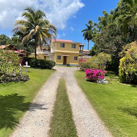 Little Shaw Park Guest House Ocho Rios Exterior foto