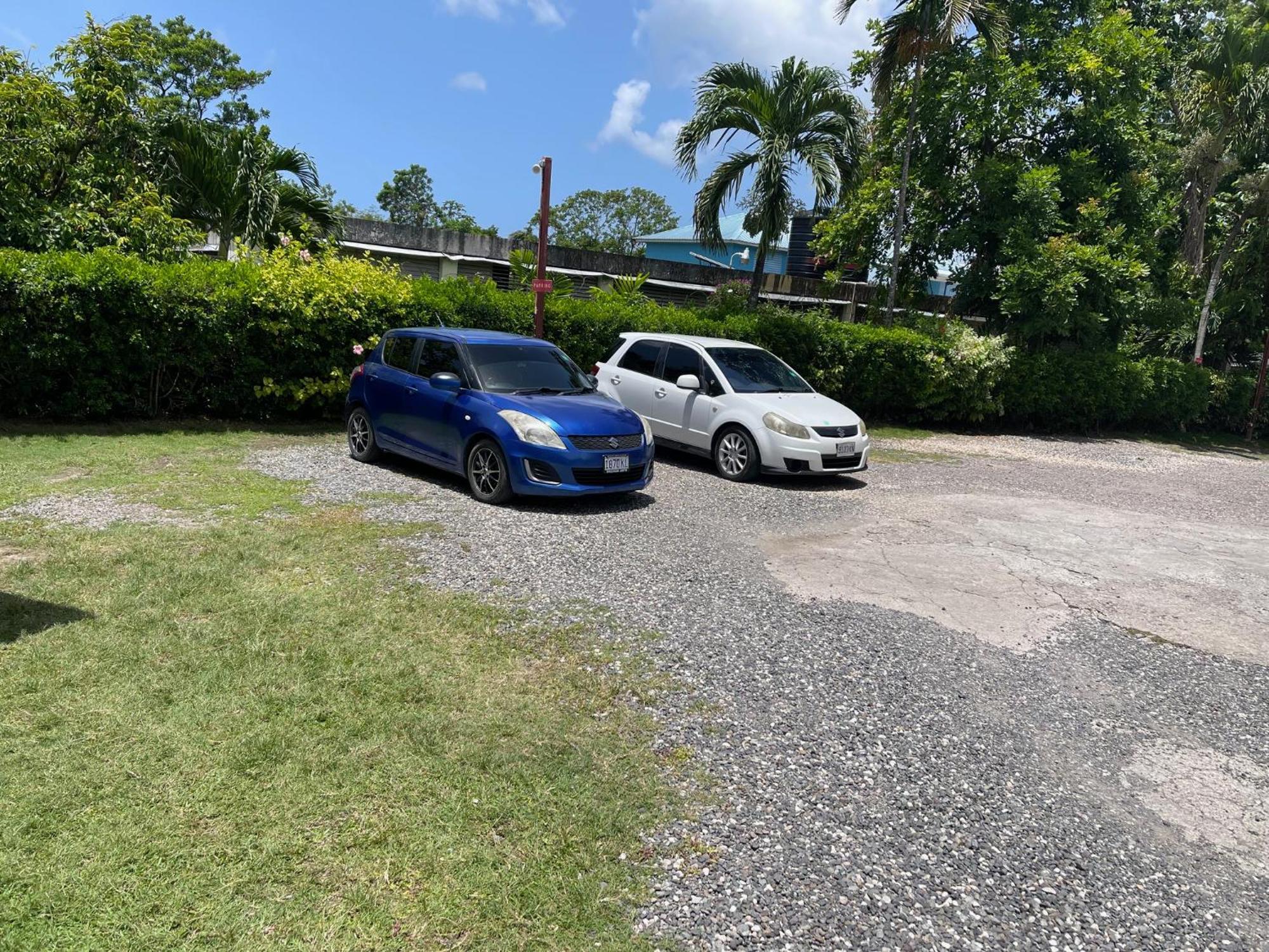 Little Shaw Park Guest House Ocho Rios Exterior foto