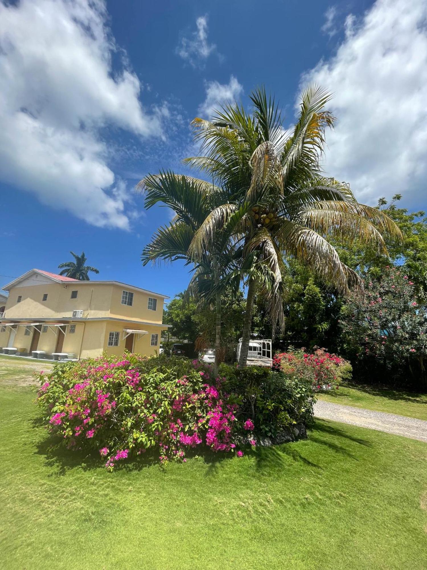 Little Shaw Park Guest House Ocho Rios Exterior foto